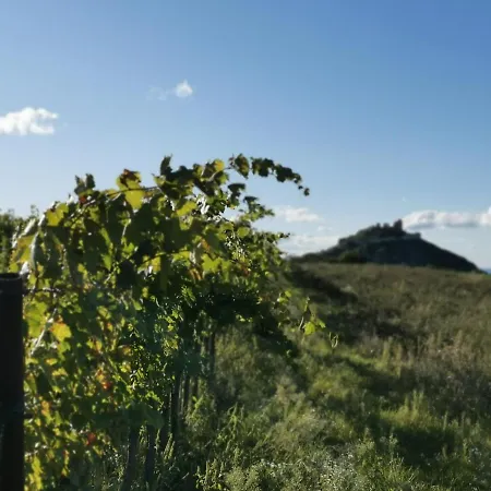 Gaestezimmer Rieder Konukevi