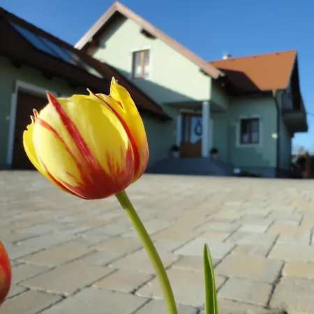 Konukevi Gaestezimmer Rieder