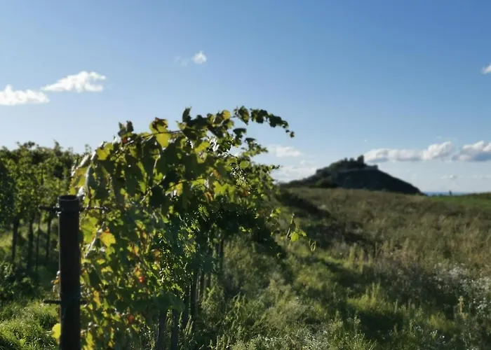 Gaestezimmer Rieder Guest house