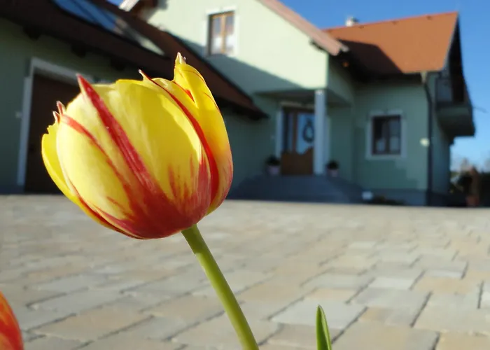 Guest house Gaestezimmer Rieder